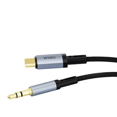 Câble Audio WiWU Legend USB-C