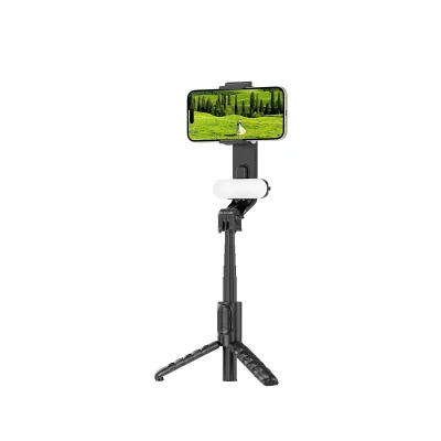 Perche Selfie Bluetooth WiWU SE013 avec Trépied & Lumière